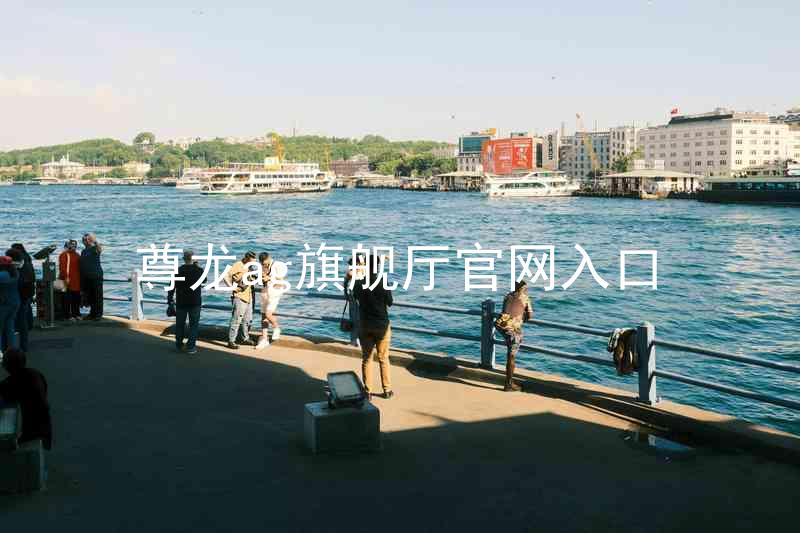 尊龙ag旗舰厅官网入口