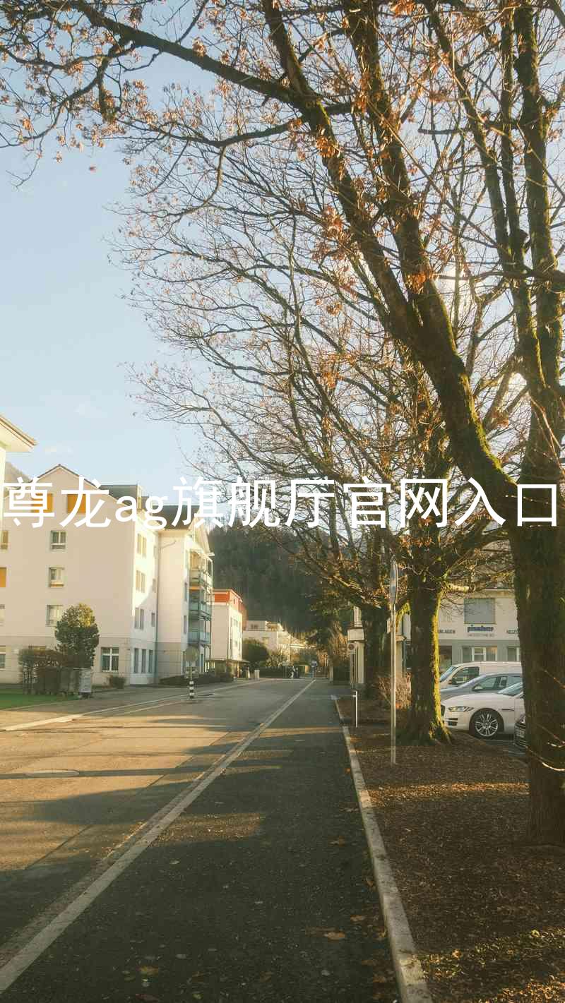 尊龙ag旗舰厅官网入口