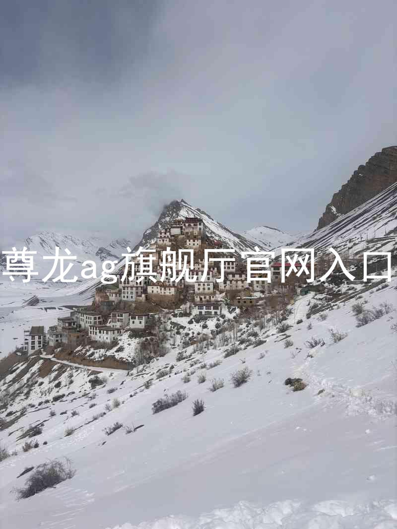 尊龙ag旗舰厅官网入口